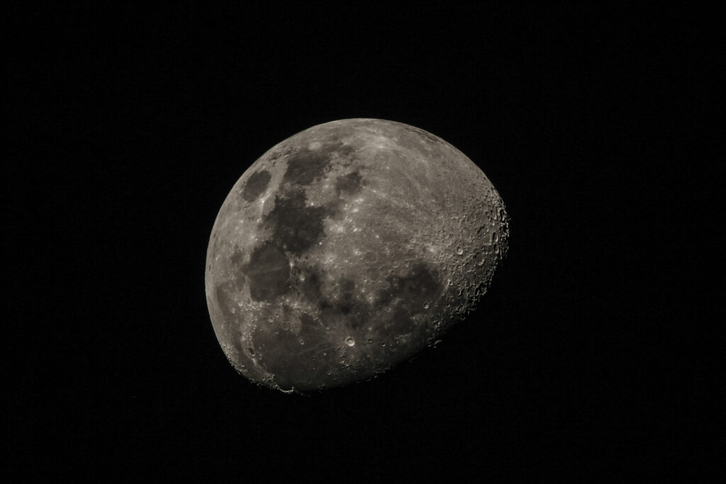 Mond Newton 900f45