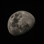 Mond Newton 900f45