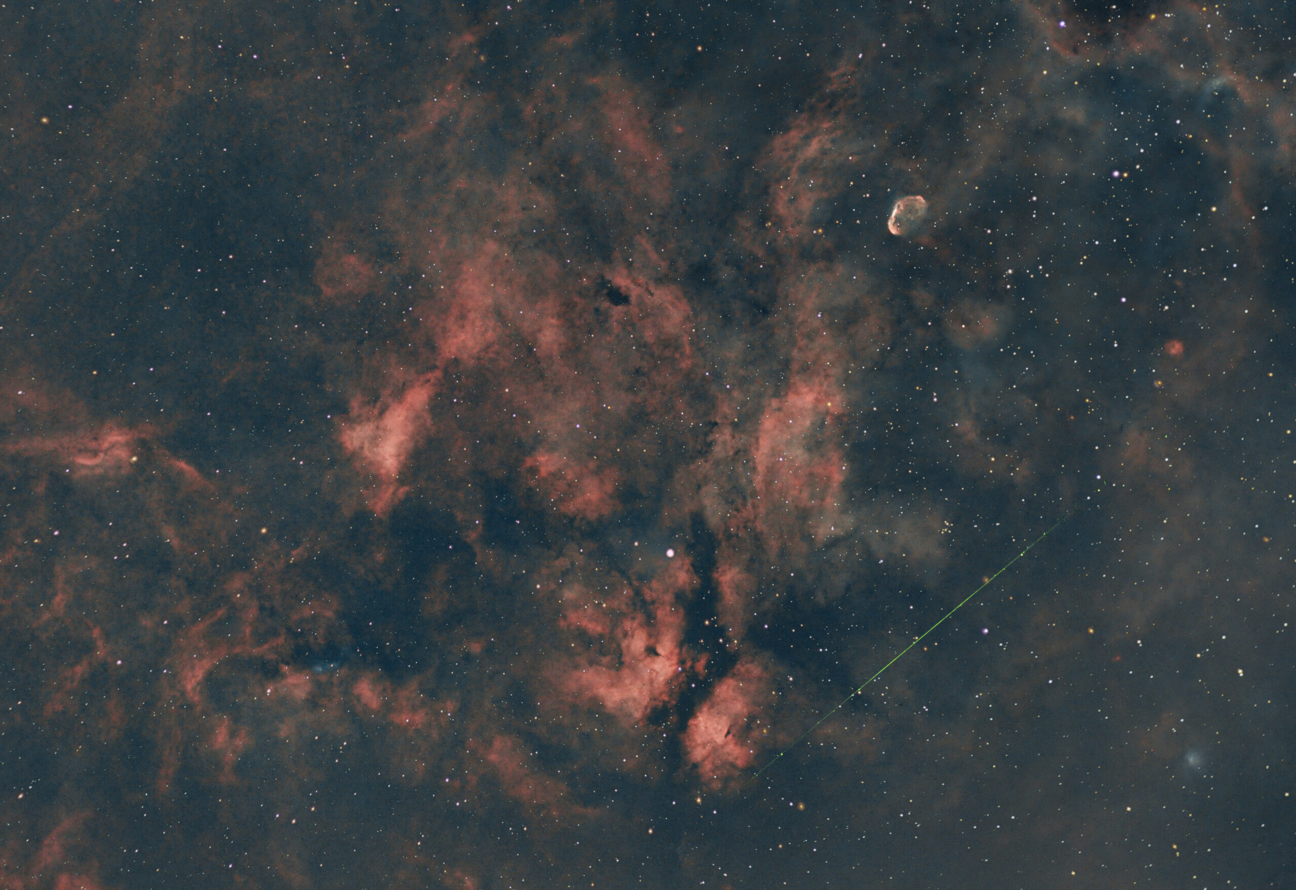 Gamma Cygni Nebula scaled