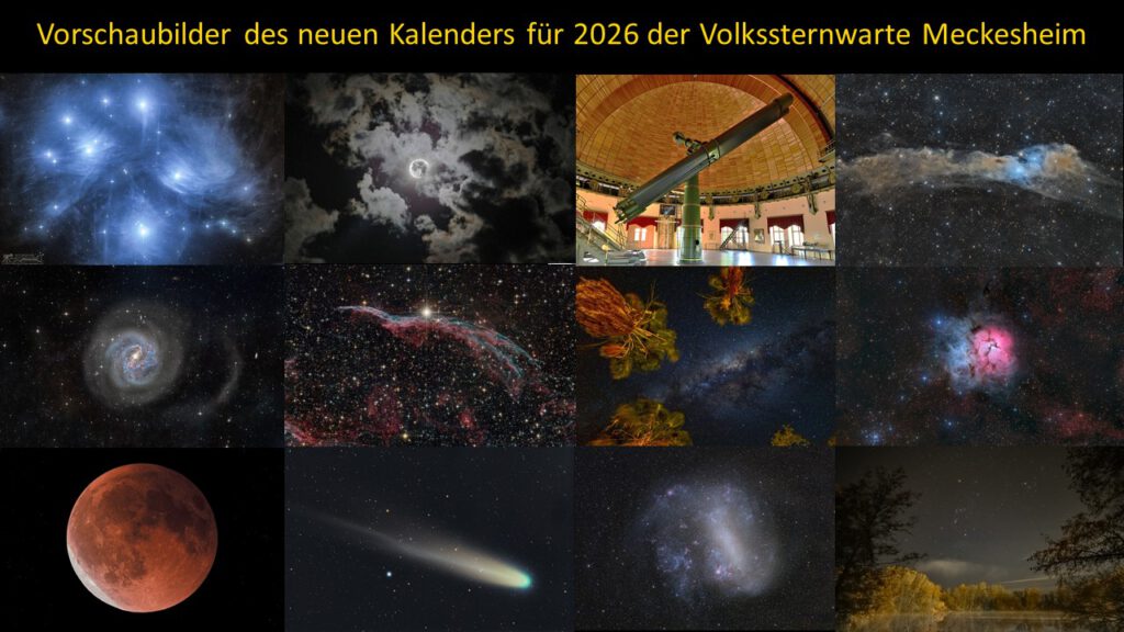 Collage 2026 Version 2